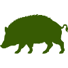 Forest Pig Silhouette