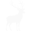 Deer silhouette white forest nature