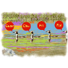 Grebes counting in a funny way