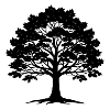 Oak Sapling
