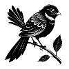 Neuseeländischer Fantail-Vogel