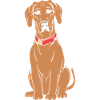 Rhodesian Ridgeback