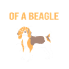 Beagle Dad