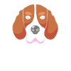 Beagle Dad