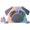 Pug with butterfly
