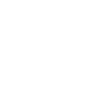 Turtle Summer Shirt