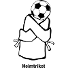 Heimtrikot