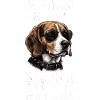 Bevor Du Fragst Nein Beagle 