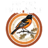 Pretend I'm an oriole.