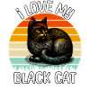funny black cat