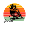 Lustige Gouldamadine Sprüche