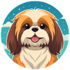 Shih Tzu mignon (Portrait comique)