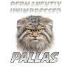 Manul Wildcat Coffee Sarcasm Cats Fans