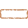 Members