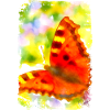 Butterfly Art Design by Jörg Langhans