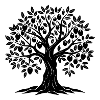 Olive Tree