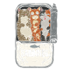 Kittens in a sardine can
