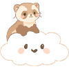 Frettchen_auf_Wolke