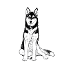 Drawing of Husky