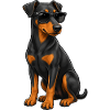 Doberman Cool Sunglasses Loyal Friend
