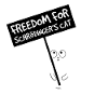 Schrödinger's Cat Quantum Physics Gift