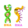 DNA RNA Still Singles Funny Science Biology Gift