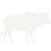 Wild Bison Silhouette