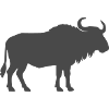 Bison silhouette in front of prairie