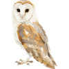 Owl portrait in earth tones