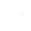 Ours
