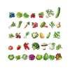 June Harvest Veggie Sketches