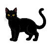 Black Cat Cat Shirt Gift
