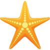 Starfish - Maritime Beach Sea Motif
