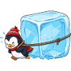 Pinguin zieht Eisblock