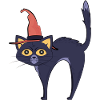 Midnight Witch Cat