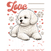 Bichon Frise Dog Breed