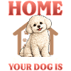 Bichon Frise Dog Breed