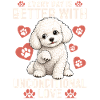 Bichon Frise Dog Breed