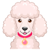 Caniche (Portrait comique)