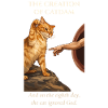 Catdam : La Création Féline