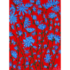 Fleurs de chicorée