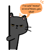 Sarcastic cat on the edge