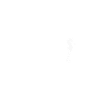 Seepferdchen