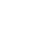 V8