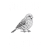 Birdwatchers Birds Feeding Birder Gifts