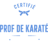 Meilleur Prof de Karaté du Monde