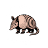 Armadillo Sayings Funny Armadillo Gift