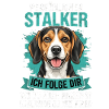 Beagle Stalker 