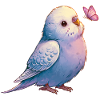 Budgie with butterfly