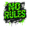 No Rules Graffiti Saying Camouflage Neon